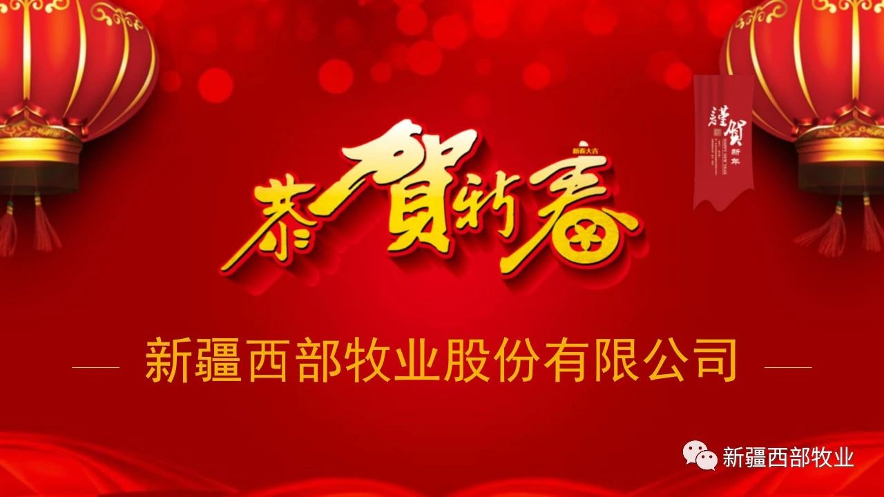 新春佳節(jié)慰問信